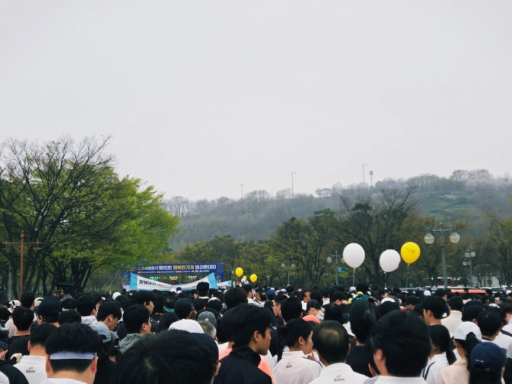 제15회 행복한가게 마라톤대회 10km 참가 후기! (상암월드컵경기장 평화광장 달리며 벚꽃구경)