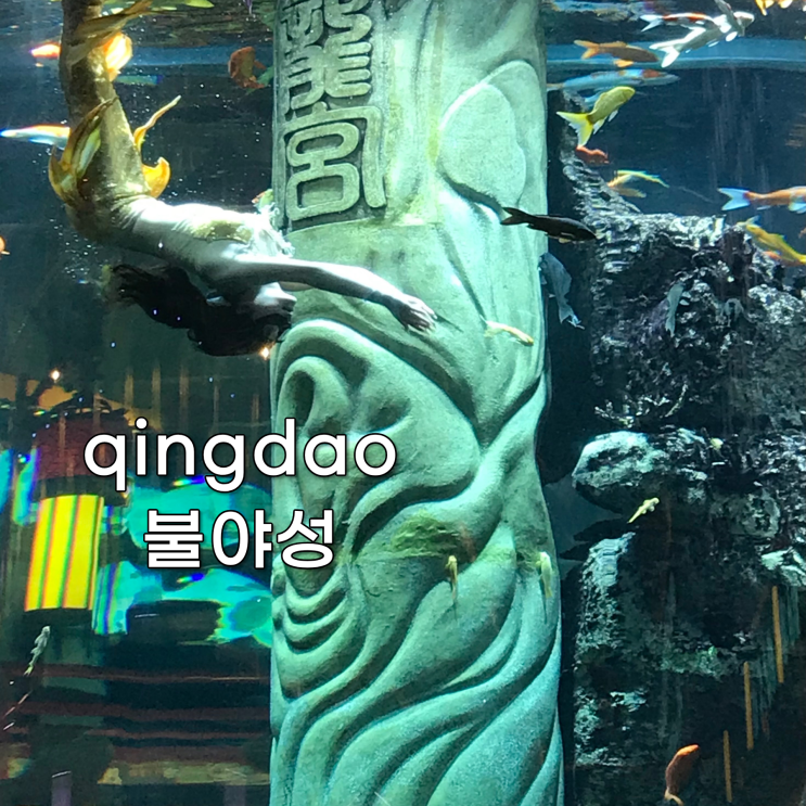 칭다오 불야성위치 & 지하철 이용 가는 방법칭다오 불야성 고덕지도주소 山东省青岛市城阳区河套街道汇海路666号 디디택시 이용하실 분들은 제가 작성한 이 한자 그대로 보여주시고 “可以吗？ (크어이마?)” 라고 하시면 거의 바로 알아들으세요. 공항에서 가기 매우 편리하기 때문에 저는 지하철로 이동했는데요. 공항 8호선 홍다오기차역에 내리셔서 B번 출구...