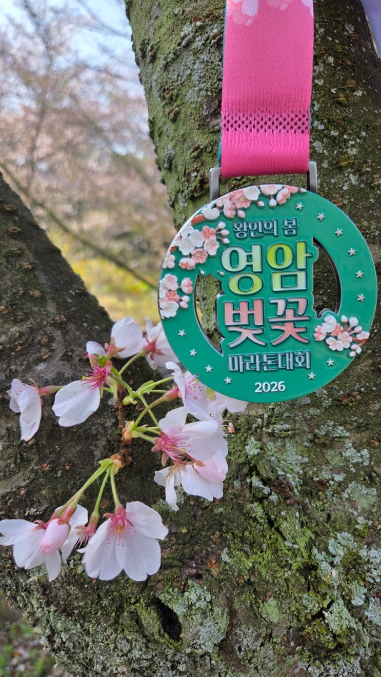 #2026영암벚꽃마라톤대회 분홍빛 꽃비 속의 질주! 달리고 웃고 즐겼다🌸