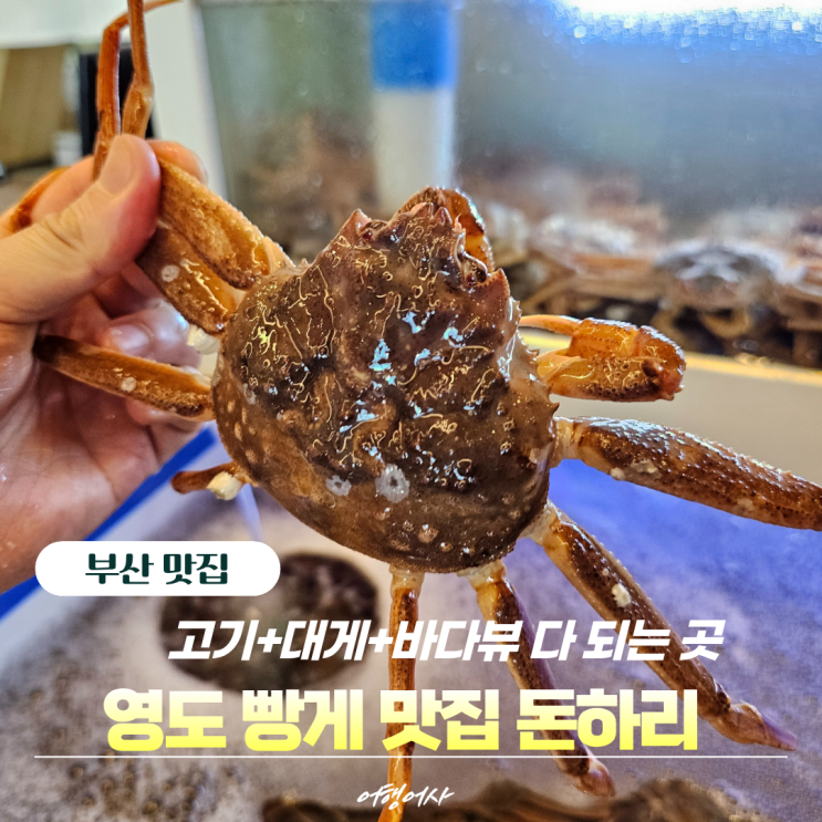 영도맛집 돈하리｜대게와 꽃삼겹, 오션뷰까지 있는 영도고기집 추천 : 네이버 블로그