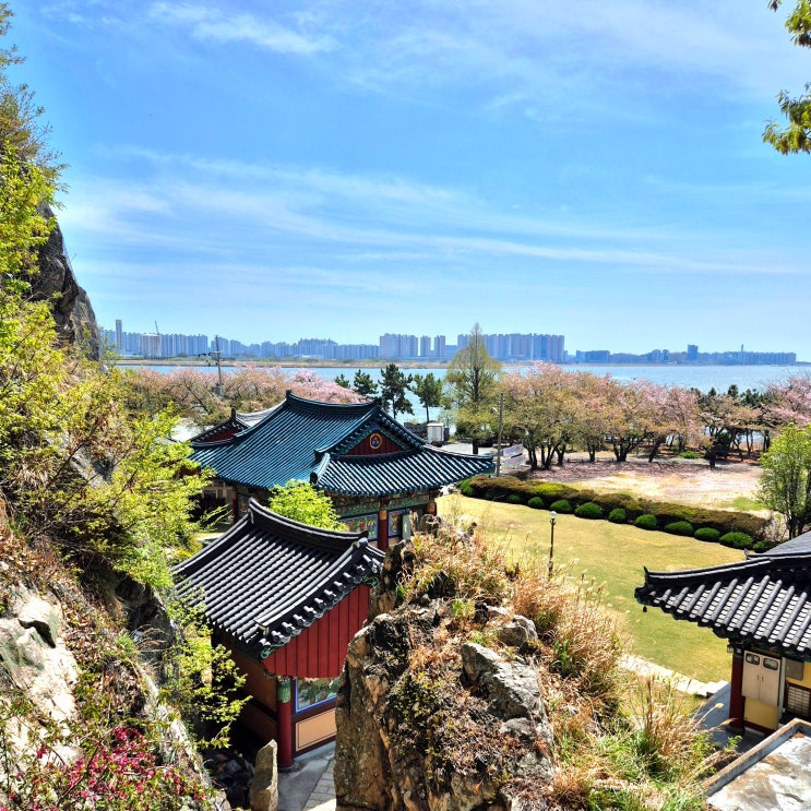 [부산 수능엄사] 서낙동강 해강일점 강서구 가볼만한 곳