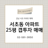 서초동 아파트 25평 갭투자 매매