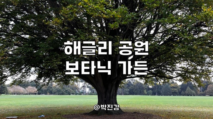 뉴질랜드 크라이스트처치 여행 해글리 공원 보타닉 가든 Hagley Park Ch....