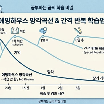 공부해도 다 잊어버린다면, 복습 타이밍이 틀린 겁니다