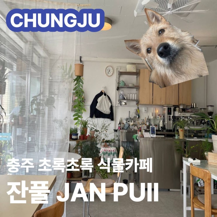 충주 잔풀 JAN PUll 봉방동 초록초록한 식물카페 애견동반 감성카페 내돈내산 메뉴 가격 주차 솔직후기 : 네이버 블로그