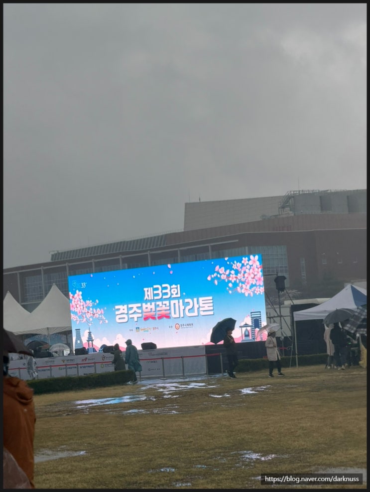 2026 경주벚꽃마라톤 참가후기 _ 260404
