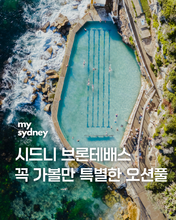시드니 브론테배스｜브론테 비치에서 만나는 특별한 오션풀