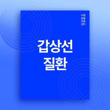 청주내과동물병원 강아지 노화 아닌 갑상선질환 원인 가능성 있어요