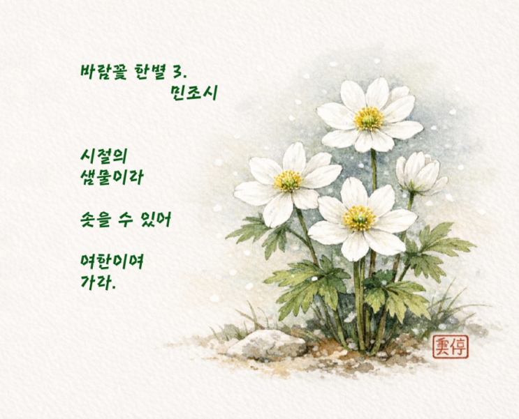 바람꽃 한별 3. : 네이버 블로그