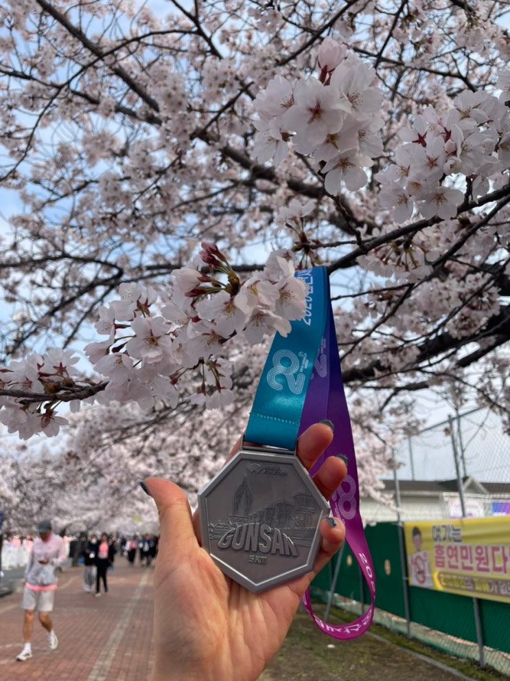 2026 군산 새만금 마라톤 대회후기 | 분홍분홍 벚꽃 가득했던 러닝코스♥ + 군산롯데몰, 군산과자조합