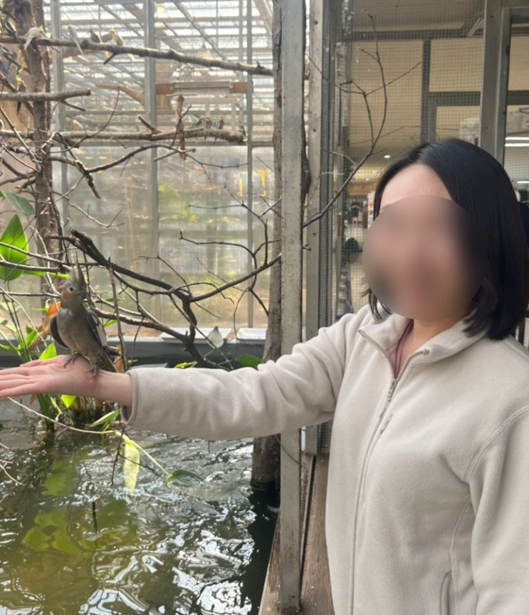 보문관광단지 5월 당일치기 가볼만한곳 - 경주 버드파크 실내 주말....