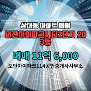 상대동 아파트 대전아이파크시티2단지 도안아이파크114공인중개사사무소 매물