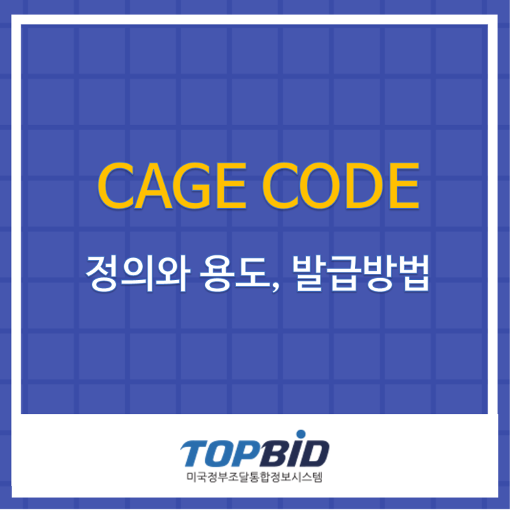 CAGE CODE의 정의와 용도, 발급방법 : 네이버 블로그