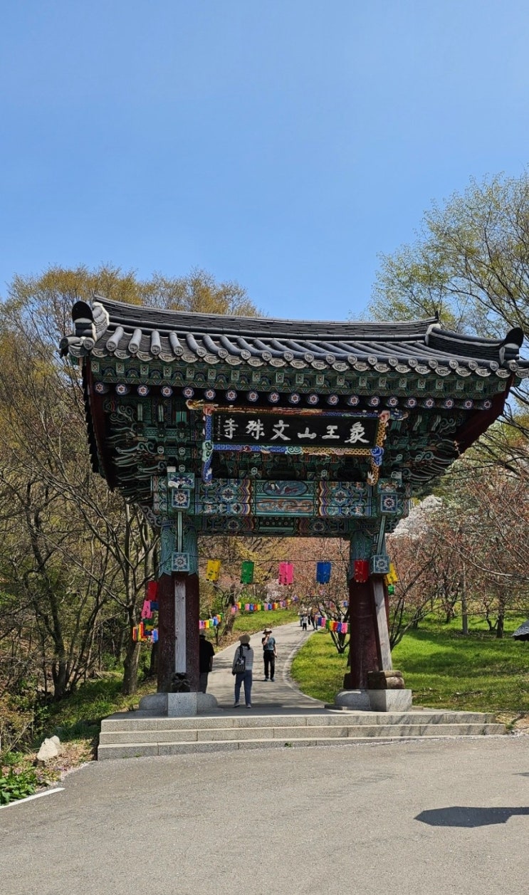[서산 문수사] 겹벚꽃 아직은 꽃망울로 꽃은 피지 않았다 : 네이버 블로그