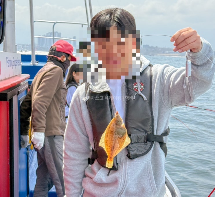 속초 배낚시 가자미 낚시로 잔뜩 잡은 윤창호 바다배 체험 : 네이버 블로그