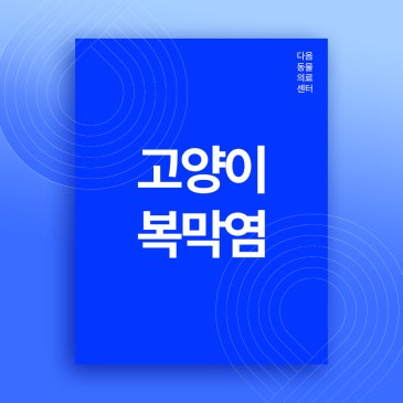 율량동 고양이 병원 치명적인 고양이 전염성 복막염 FIP