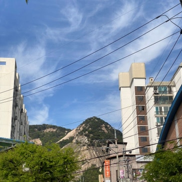 동네 한 바퀴 RSS 대표 이미지