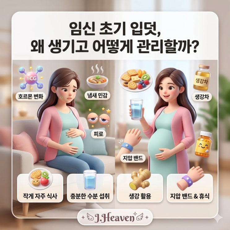 임신 초기 입덧, 원인과 관리 기준 정리 : 네이버 블로그