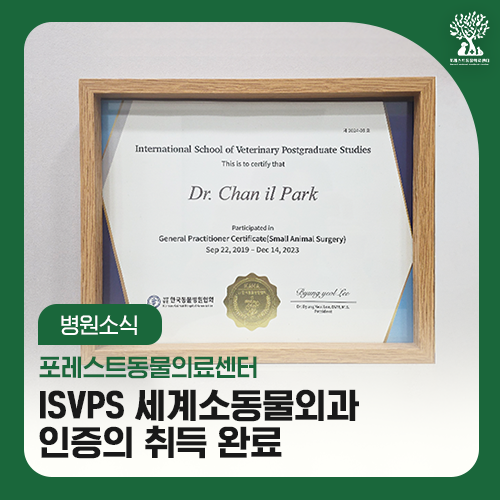 [2026년 병원 소식] 포레스트동물의료센터 ISVPS 세계소동물외과 인증의 취득, 어떤 의미가 있을까요? : 네이버 블로그