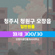 오창읍 월세 300/30 - 오렌지공인중개사사무소