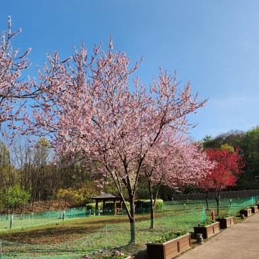 ★학교〉학원★당연히 학교가 먼저입니다★현역 합격을 위한 학교 커리와의 동반 상승★글의힘의 길★글의힘국어학원★중계동국어학원★ RSS 대표 이미지