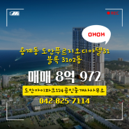 상대동 전문부동산 도안푸르지오디아델31블록 매물소개 - 8억 972