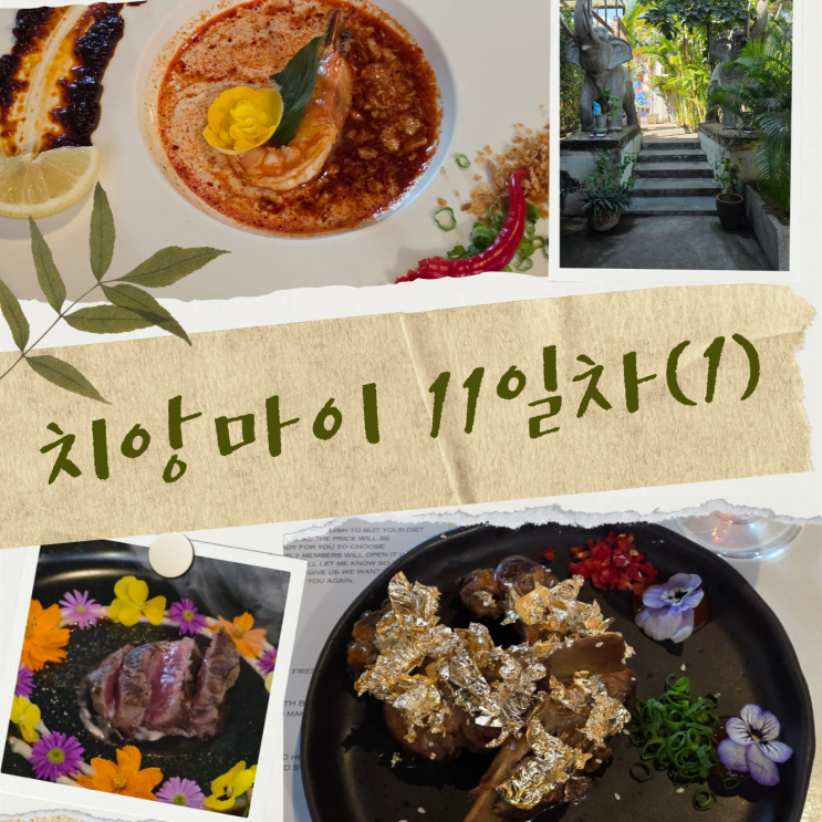 치앙마이 11일차(1) : B Samcook Home16 예약 방법과 코스 요리 후기