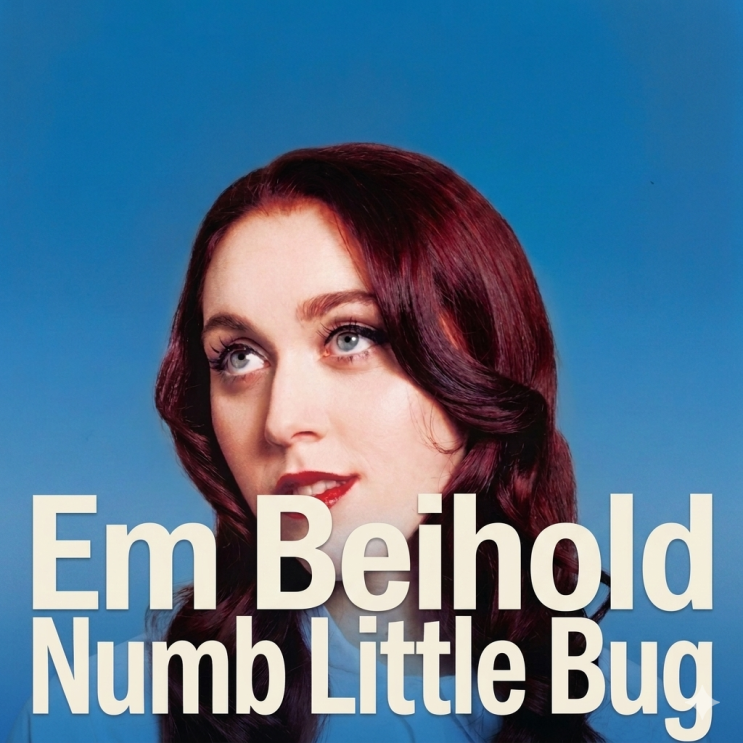 엠바이홀드, Em Beihold - Numb Little Bug 가사, 해석 (우울한 분들을 위한 응원팝송: 난 무감각한 작은 ...