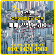 대전시 동구 가양동 도마호반공인중개사사무소 실매물 아파트 매매