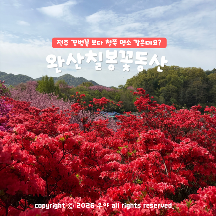 전주 뚜벅이 여행 코스 추천 완산칠봉꽃동산 실시간 만개 전주 꽃구경 사진 명소 : 네이버 블로그