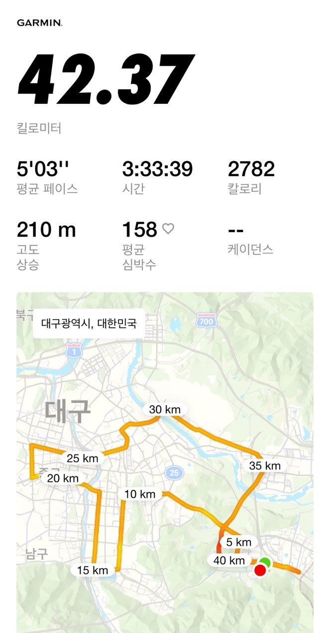 2026 대구마라톤 대회 후기