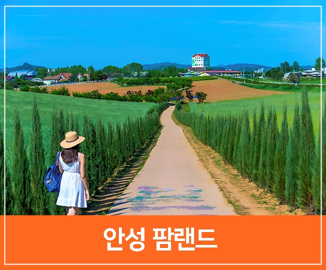 안성 가볼만한곳 추천, 안성 팜랜드 호밀밭 서울근교 당일치기 주말 나들이 : 네이버 블로그