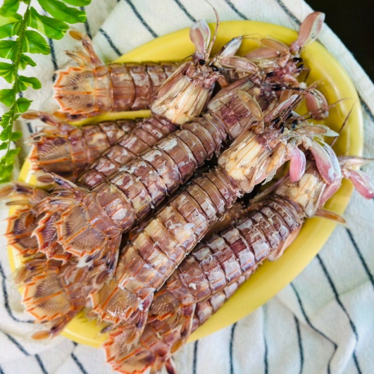 쏙 갯가재 차이 찜으로 맛있는 4월 5월 제철 해산물 털치 찌는 법 : 네이버 블로그