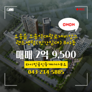 오송읍 오송역대광로제비앙그랜드센텀(민간임대) 매물정보(110.31㎡/84.99㎡)