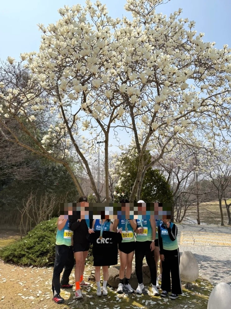 [대구2030 초보러닝크루 CRC]2026년 42회 코오롱 구간 마라톤대회 후기