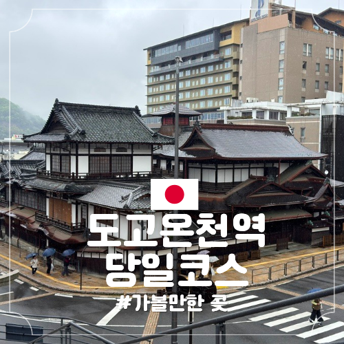 마쓰야마 오카이도에서 도고온천 가는법 맛집 코스 추천