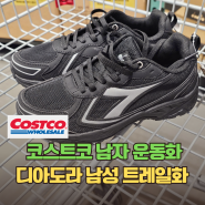 3만원대 가성비 운동화 추천 코스트코 디아도라 남성 트레일화
