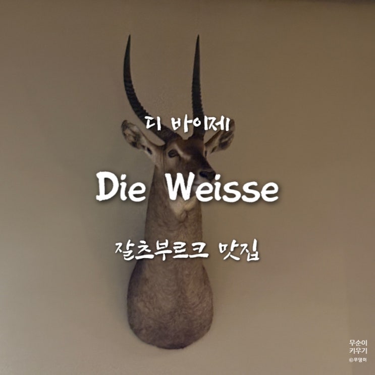 오스트리아 잘츠부르크 맛집 디 바이세 Die Weisse 밀맥주 + 전통요리 ....