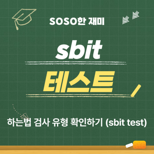 sbit 테스트 하는법 검사 유형 확인하기 (sbit test) : 네이버 블로그
