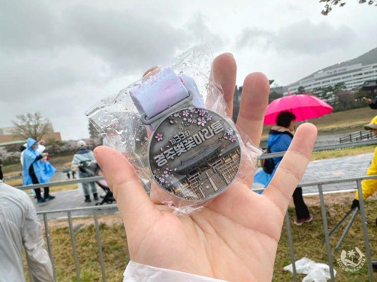 2026 제33회 경주 벚꽃마라톤 5km 참가 우중런 완주 후기 (기념품, 코스, 메달)