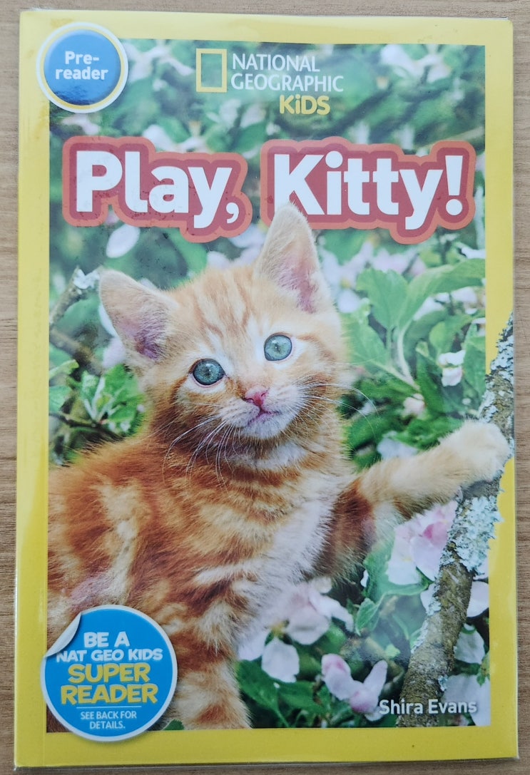 내셔널 지오그래픽 키즈 원서 (NATIONAL GEOGRAPHIC KiDS) Play, Kitty! 논픽션 영어책 : 네이버 블로그