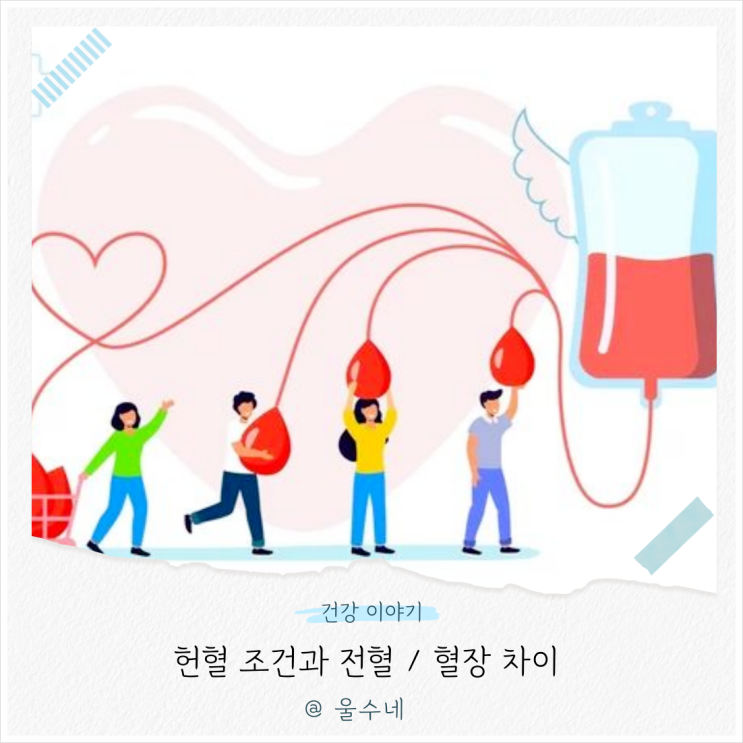 생명을 살리는 '헌혈' 조건과 전혈 혈장 주기 차이점 : 네이버 블로그