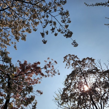 ●고3 마지막 내신 대비●끝까지 함께 하는 내신이 사명입니다●결국 잘될 겁니다●학교가 우선입니다●글의힘국어학원●중계동국어학원● RSS 대표 이미지