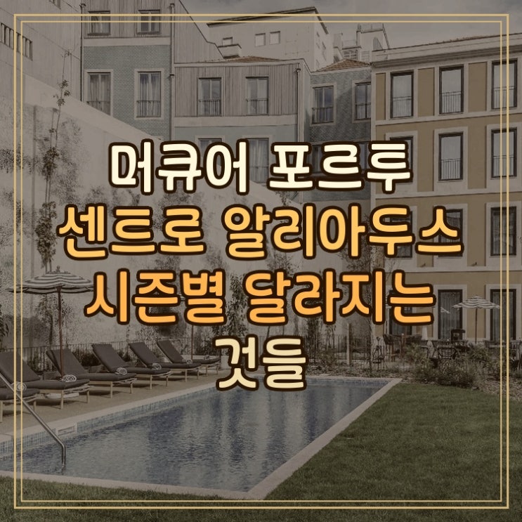머큐어 포르투 센트로 알리아두스 시내 중심 스테이 시즌별 차이점 ....