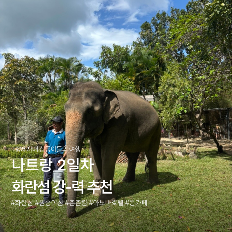 나트랑 여행 코스 2일차. 몽키아일랜드와 촌촌킴 비추천 / 화란섬 콩....