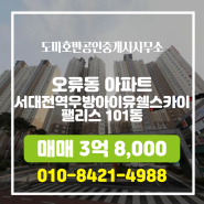 오류동 아파트 서대전역우방아이유쉘스카이팰리스 도마호반공인중개사사무소 매물