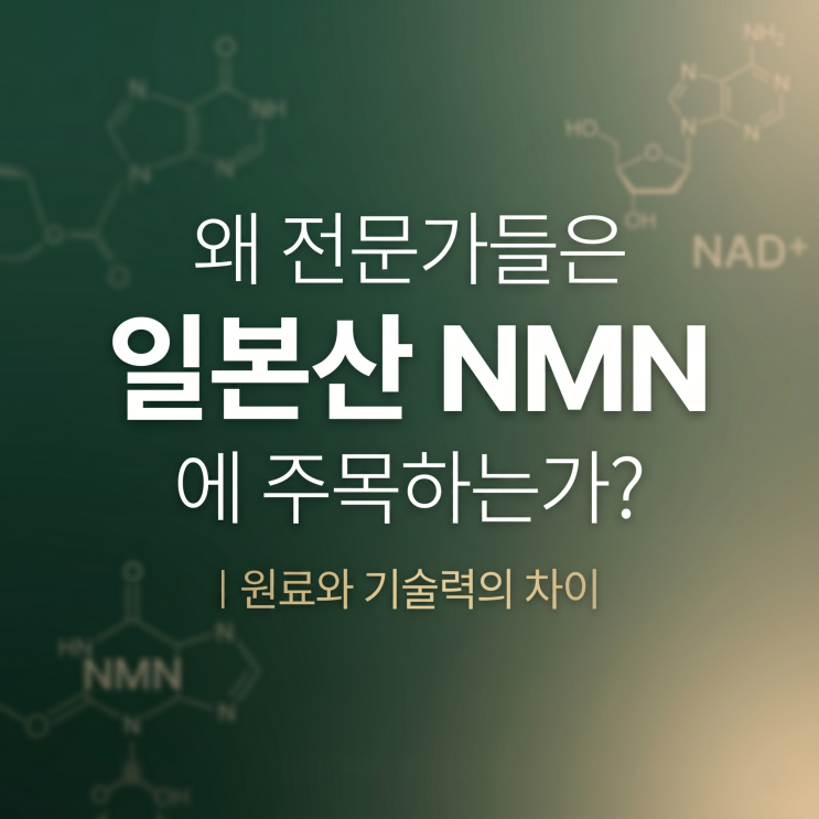 상위 1%의 선택, 일본 NMN 영양제 효능 가르는 '이 원료'의 정체 : 네이버 블로그