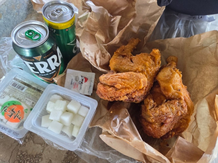 2026 광명시 육상연맹 회장배 건강달리기 대회 치맥런 후기