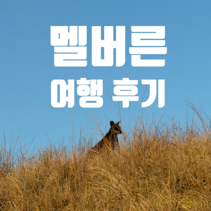 [호주|멜버른] 2026년 1월 호주 여행기 <퍼핑 빌리(Puffing Billy) 증기기....