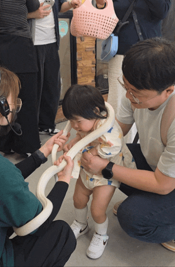 수원 실내동물원, 25개월 아기랑 은여우·수달 만져본 찐 후기